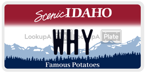 WHY  license plate in ID
