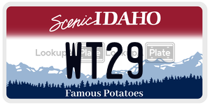 WT29  license plate in ID