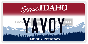 YAV0Y  license plate in ID