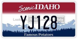 YJ128  license plate in ID