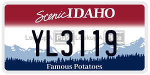 YL3119  license plate in ID
