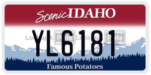 YL6181  license plate in ID