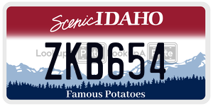 ZKB654  license plate in ID