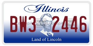 BW32446  license plate in IL