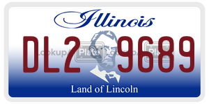 DL29689 license plate in Illinois