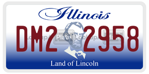 DM22958 license plate in Illinois