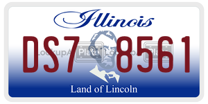 DS78561 license plate in Illinois