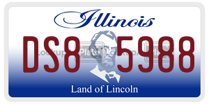 DS85988 license plate in Illinois