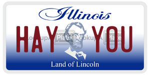 HAYYOU  license plate in IL