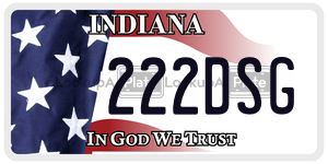 222DSG  license plate in IN
