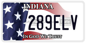 289ELV  license plate in IN