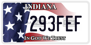 293FEF  license plate in IN