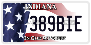 389BIE  license plate in IN