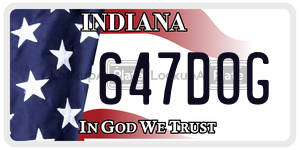 647DOG  license plate in IN