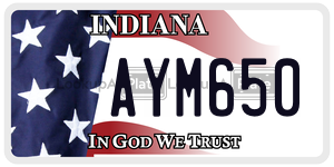 AYM650  license plate in IN
