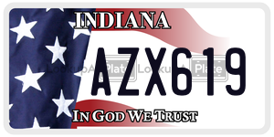 AZX619  license plate in IN