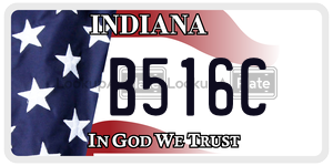 B516C  license plate in IN