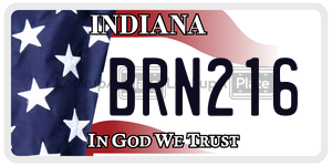 BRN216  license plate in IN