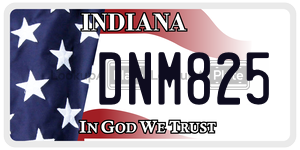 DNM825  license plate in IN