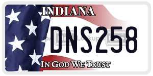 DNS258  license plate in IN