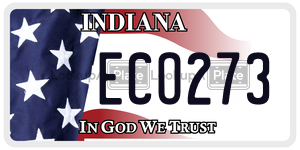 ECO273  license plate in IN