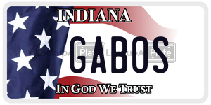 GABOS  license plate in IN