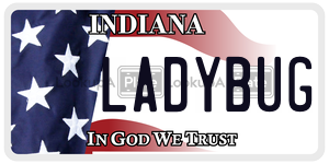 LADYBUG license plate in Indiana