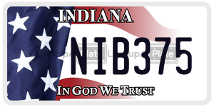 NIB375  license plate in IN