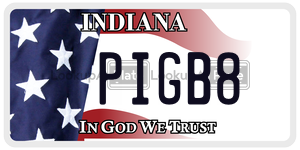 PIGB8  license plate in IN