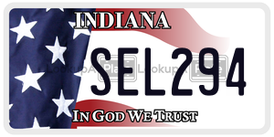 SEL294  license plate in IN