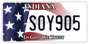 SOY905  license plate in IN