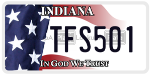TFS501 license plate in Indiana
