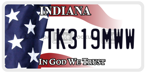 TK319MWW  license plate in IN