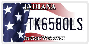 TK658OLS  license plate in IN