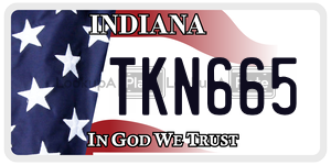 TKN665  license plate in IN