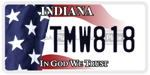 TMW818  license plate in IN