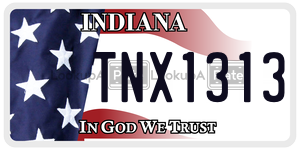TNX1313  license plate in IN