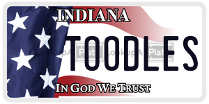 TOODLES license plate in Indiana