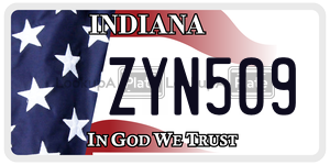 ZYN509  license plate in IN