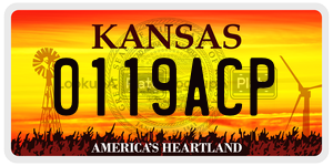0119ACP  license plate in KS