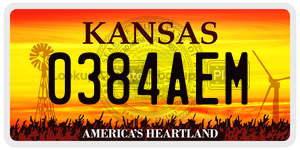 0384AEM  license plate in KS