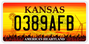 0389AFB  license plate in KS