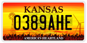 0389AHE  license plate in KS