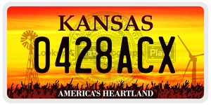 0428ACX  license plate in KS