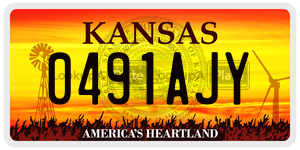 0491AJY  license plate in KS