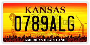 0789ALG  license plate in KS