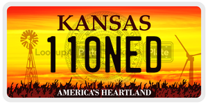 110NED  license plate in KS