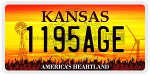 1195AGE license plate in Kansas