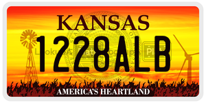 1228ALB  license plate in KS