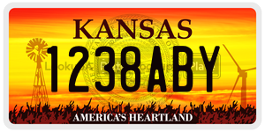 1238ABY  license plate in KS